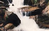 玉龍?jiān)怼㈨懰?></a></dd>
  <dd>
	 

	

	 

	　　雨母山西北一個(gè)山皂，東西縱向長(zhǎng)達(dá)1公里。有叫玉龍?jiān)恚薪许懰怼Ｔ撛碛许懰晚懰俨肌Ｔ谟颀堅(jiān)砼c九龍沖相隔的山坳，叫玉龍騰山坳，簡(jiǎn)稱玉龍坳。玉龍土皂現(xiàn)駐有供電所、林場(chǎng)和蒸湘區(qū)黨校。在玉龍?jiān)淼祝幸蝗_(tái)，叫玉龍臺(tái)。...[<a href=