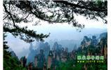 【純玩獨立成團線路1】張家界、袁家界、天子山、寶峰湖/黃龍洞二晚三日
